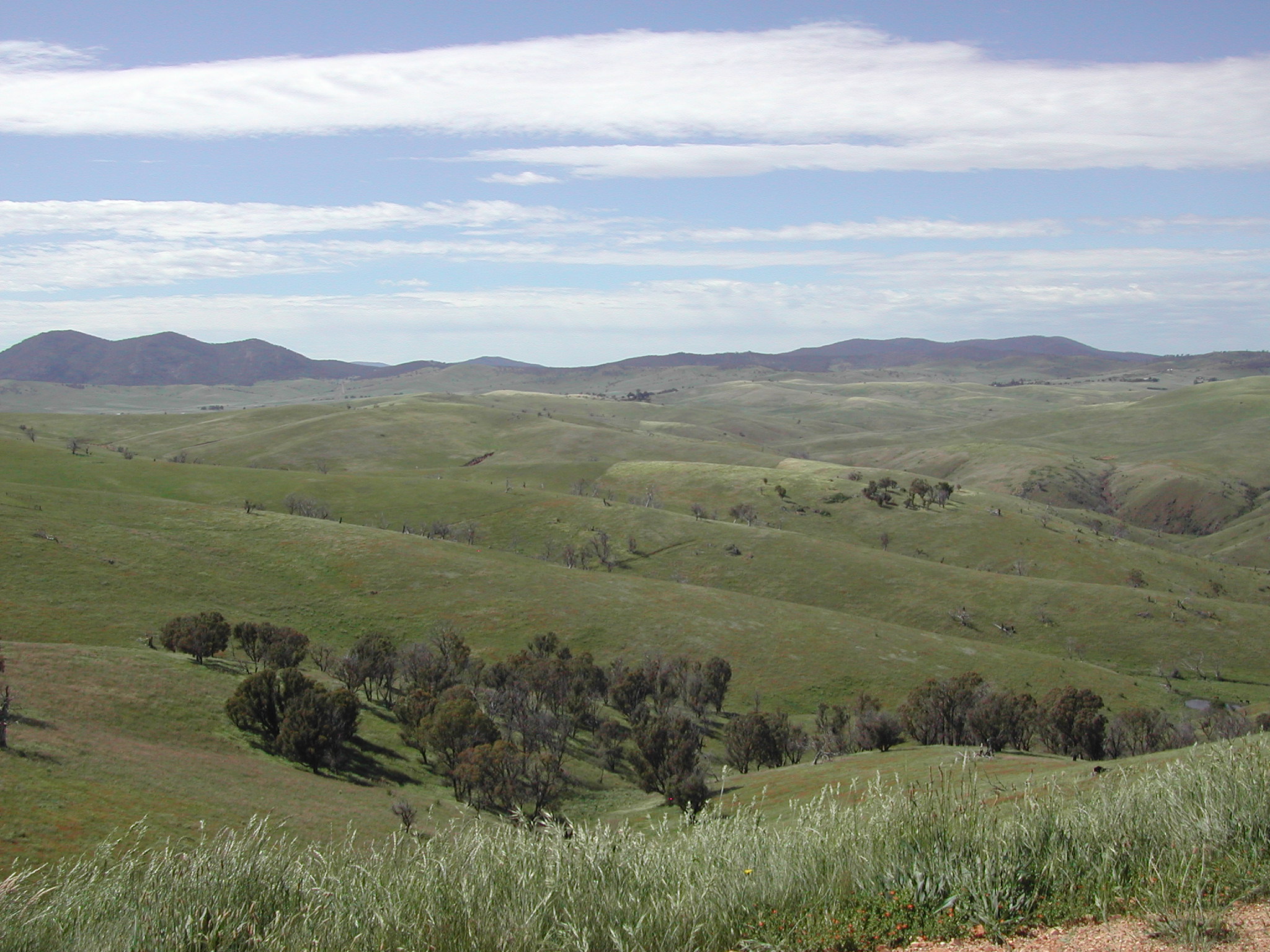 Rolling hills Gippsland, Victoria