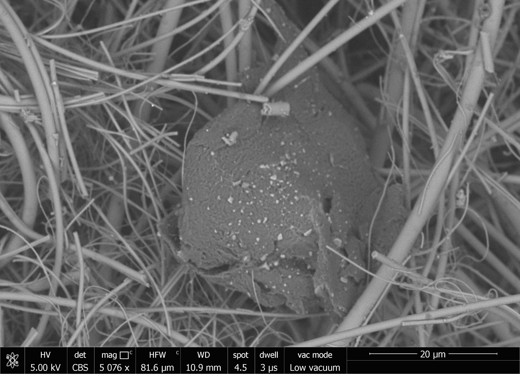 Scanning electron microscope image showing close up of pollution particles, some spiky whilst others are globular