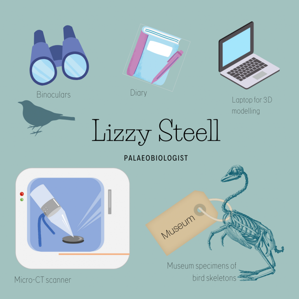 Illustration showing Lizzy's equipment as follows: Binoculars, diary, laptop for 3D modelling, museum specimens of bird skeletons, Micro-CT scanner